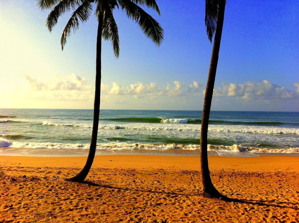 Hotel Bahia Surf Camp Abrantes Exteriér fotografie